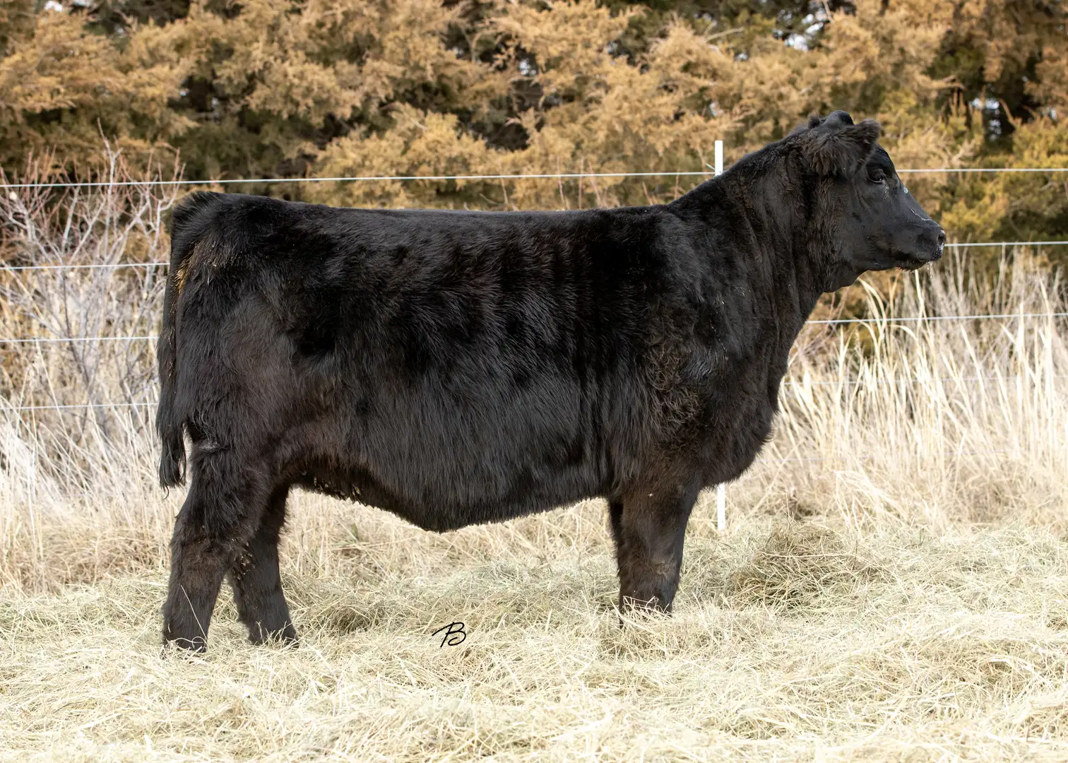 M1749